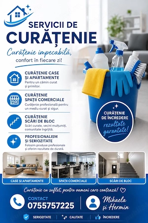Servicii profesionale de curatenie