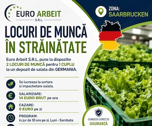 Angajjma urgent la ambalat salata 