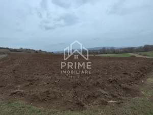 Teren Intravilan 9.700 mp| zona Pârâu lui Mihai 