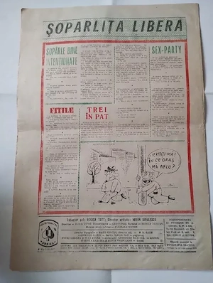 380. Revista de umor Șopârla 10 1995 - imagine 2