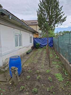 DE VANZARE Casă bătrânească si teren, total 480 m    Prelungirea Bradului, Bacău   - imagine 3