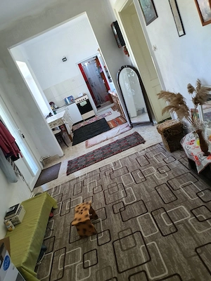 Casa de vanzare zona rurala Teremia Mare, judet Timis - imagine 5