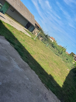 Casa de vanzare zona rurala Teremia Mare, judet Timis - imagine 7