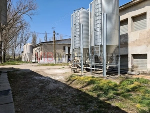 Ferma avicola populata, aparoape de Oradea - imagine 4