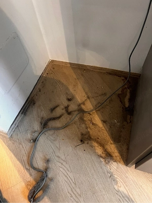 Ofer servicii de curățenie pentru apartamente, case, birouri sau spații comerciale. - imagine 2
