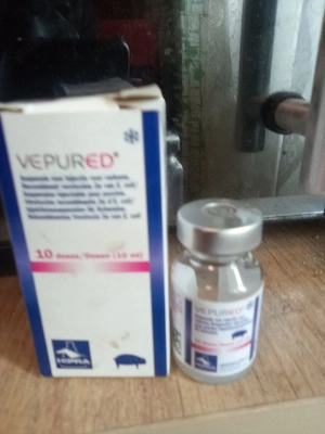 Soluție injectabilă vepured pentru purcei boala edemelor și imunizare