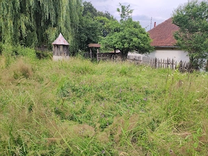 vand casa+teren (in PUG)zona orașului Brad ,sat Barza, jud.HD,cu 2,4 HA lipite de casă+2HA parcele