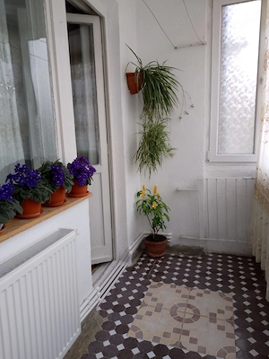Apartament 2 camere de vanzare Motru - imagine 2
