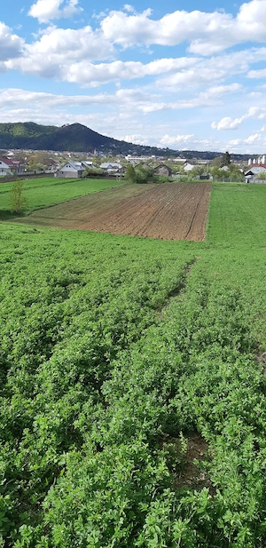 Teren de vazare Humulesti Targu Neamt
