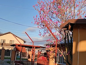Vând 2 corpuri de casa în aceeași curte  prin credit imobiliar sau cash - imagine 10