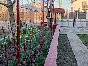 Vând 2 corpuri de casa în aceeași curte  prin credit imobiliar sau cash - imagine 4