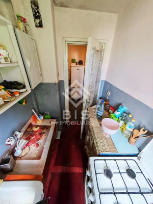 Apartament 3 Camere Decebal (Crinilor) - imagine 14