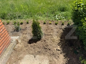 Garsonieră decomandată de vânzare – Micro 3, Hunedoara la Parter - imagine 6