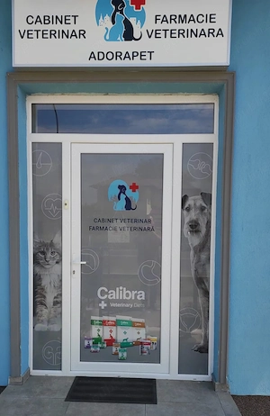 Colaborator Frizerie și Cosmetică Canină ,Clinceni,Ilfov - imagine 5