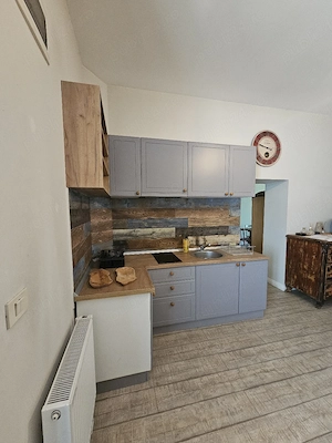 direct proprietar   zona teatru  - imagine 5