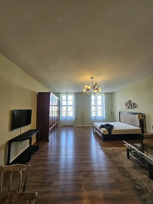 direct proprietar   zona teatru  - imagine 3