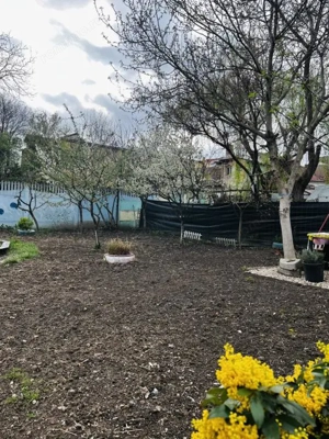 Casa cu 4 camere complet renovata - Timisoara - imagine 3