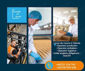 JOB OLANDA: Fabrica de Biscuiți și Dulciuri! - logistica, ambalare, productie