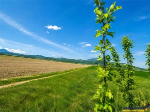 Oportunitate investitie! Teren 47.577 mp, Codlea .-. Ghimbav, pozitie excelenta la DN 11 - imagine 4