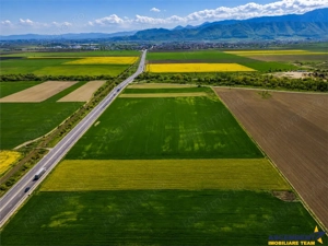 Oportunitate investitie! Teren 47.577 mp, Codlea .-. Ghimbav, pozitie excelenta la DN 11 - imagine 6