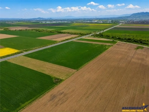 Oportunitate investitie! Teren 47.577 mp, Codlea .-. Ghimbav, pozitie excelenta la DN 11 - imagine 7