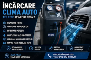 Încărcare climă auto profesională Alba Iulia – freon și verificare ac