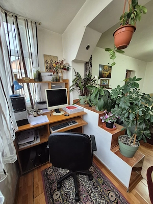 Apartament 2 camere de vânzare   Motru, Aleea Liliacului - imagine 8