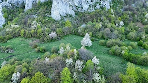 Teren de vânzare 