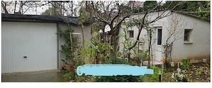 Vând urgent CASA cu etaj în CHIȘODA - pret NEGOCIABIL - imagine 3