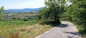 Teren de vanzare Aghires Zalau Salaj