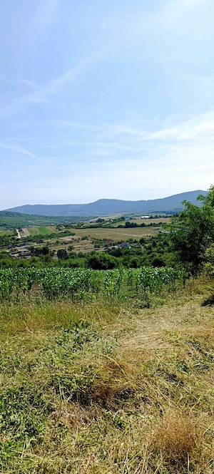 Teren de vanzare Aghires Zalau Salaj - imagine 5