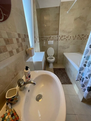 apartament cu doua camere in IRIS Torontal - imagine 8