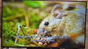 Televizor smart LG LED 65UA74003LB  164 cm