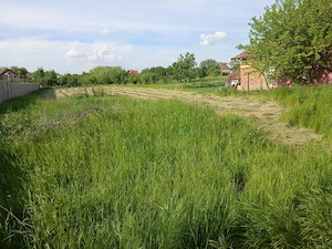 Vând teren intravilan 1438 mp în Denta, jud. Timiș   Toate utilitățile - imagine 3