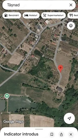 Teren cu pomi fructiferi , vie si loc de casa