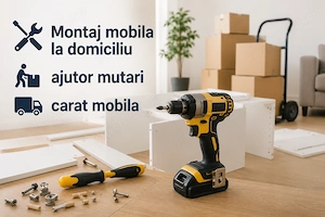Montaj mobila la domiciliu   ajutor mutari   carat mobila - Suceava
