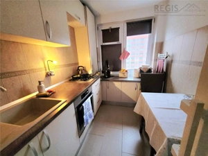Apartament de inchiriat 2 camere Bulevardul Victoriei - Centrul Nou - imagine 6