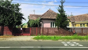 Vând 12.000 mp teren intravilan, cu 24 m front stradal, casă de 61 mp și seră de 160 mp.  - imagine 3
