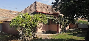 Vând 12.000 mp teren intravilan, cu 24 m front stradal, casă de 61 mp și seră de 160 mp.  - imagine 5