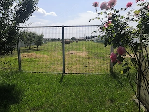 Vând 12.000 mp teren intravilan, cu 24 m front stradal, casă de 61 mp și seră de 160 mp.  - imagine 7