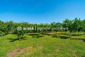 Casă spațioasă cu teren generos în Felnac – la 18 km de Arad - imagine 8