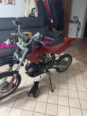 cross ducar 125 cc mini - imagine 4