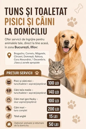 Tuns și toaletat pisici și câini la domiciliu, glanta, taiat gherute. Tuns animale