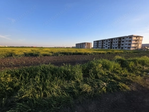 Lot intravilan ideal pozitionat in Tunari, Ilfov - imagine 3