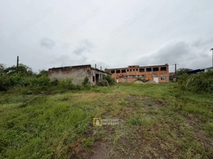 Hală industrială de vânzare – Sebiș, jud. Arad - imagine 6