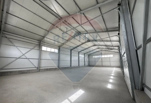 Hale de inchiriat în zona Zona Industriala