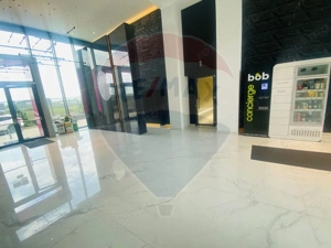 Apartament cu 1 camere de închiriat în zona Aviatiei - imagine 19