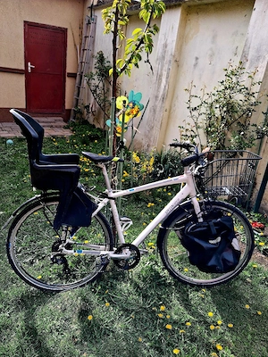Specialized City Bike