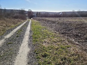 teren parcele intravilan viile satu mare 10 si 12 ari