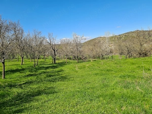 Vând teren în Com . Dumitresti, Jud. Vrancea  - imagine 9